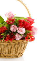 Basket with tulips