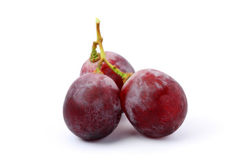 Red Grapes