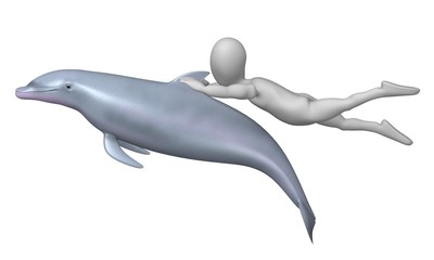 dolphin