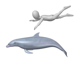dolphin