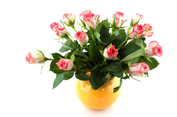 Pink roses in vase
