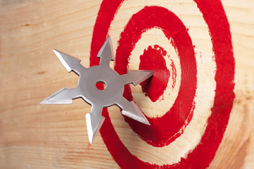 Target and the throwing weapon close up.