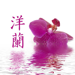 Orchidee chinesisches Zeichen Orchidee