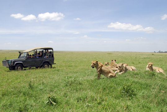 Fototapeta National Park Masai Mara