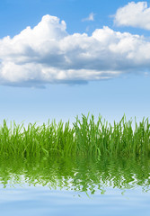 Fototapeta premium grass sky water