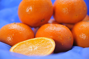 succulent oranges