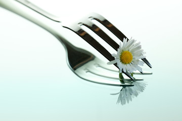 Steel Fork and flower