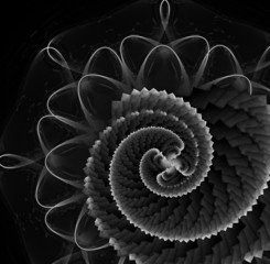 abstract background: spyral shell