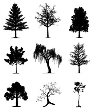 Trees collection