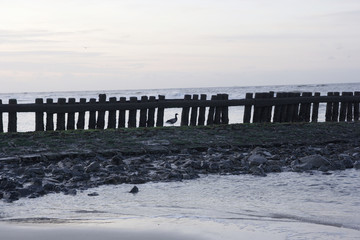 Fototapeta premium Grenzzaun