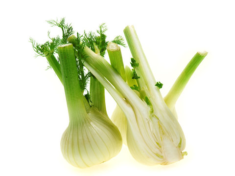 gesunde fenchel