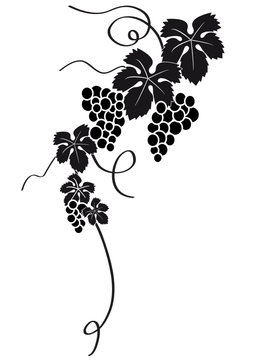 racimo de uvas silueta