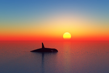 orca © danimages