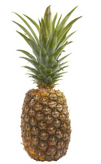 ripe pineapple isolated on white
