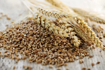 Poster Im Rahmen Whole grain wheat kernels closeup © Elenathewise