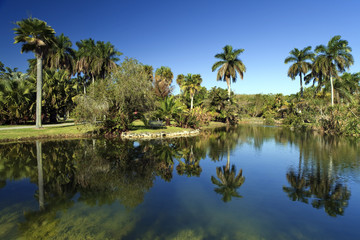 Fototapeta na wymiar Fairchild Tropical Botanic Garden