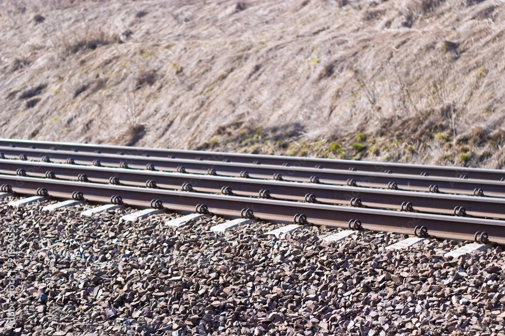 Wall mural railway