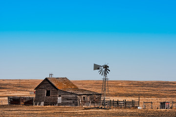 Abandoned Prairie Homestead