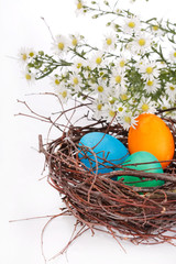 Easter eggs in a nest