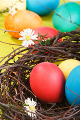 Easter eggs in a nest