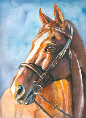 Fototapeta na wymiar Brown horse watercolor painted.