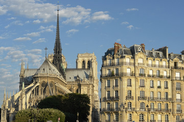 Fototapeta premium cathédrale notre-dame et immeuble haussmannien