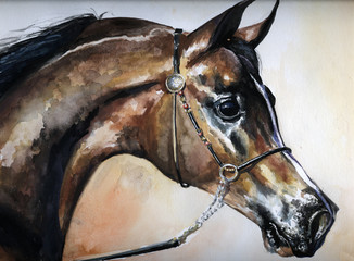 Fototapeta na wymiar Arabian horse watercolor painted