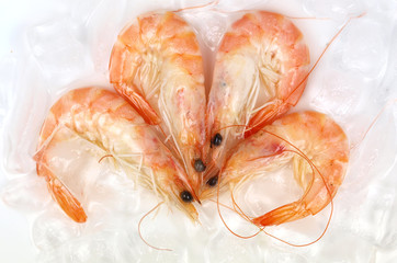 Prawns on ice