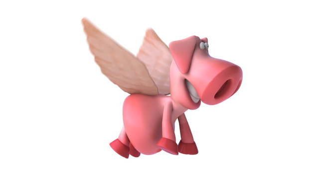 Flying pig