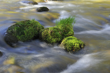 rivière de montagne