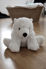 Teddybär / Spielzeug