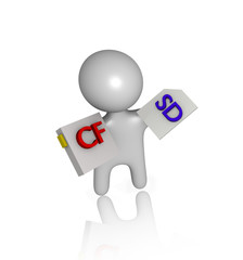 compact flash and sd crad guy