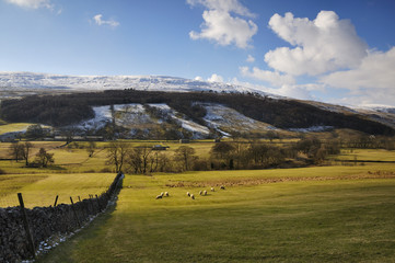 rural valley in Yorkshire Dales