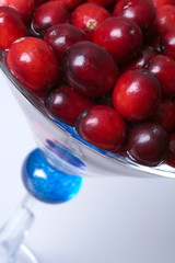Cranberries in Martini Glass