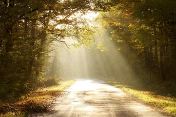 Keuken foto achterwand Mistige ochtendstond Country road through autumn forest at sunrise