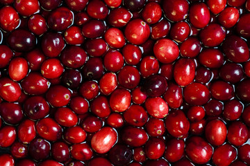 Floating Cranberries in Water