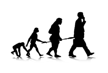 Human Evolution
