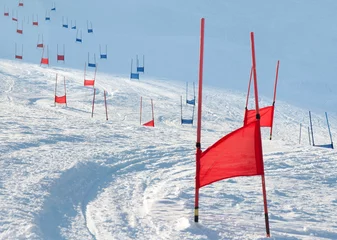 Gordijnen Skihekken met parallelle slalom © Ruslan Kudrin