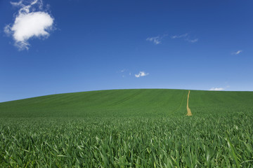 Colline de culture