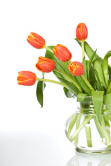 Beautiful orange tulips in glass vase - isolated