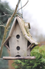 Vogelhaus