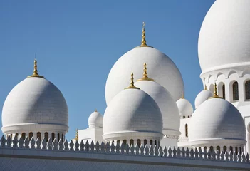 Foto op Plexiglas Domes of Sheikh Zayed Mosque in Abu Dhabi, UAE © Vladimir Melnik