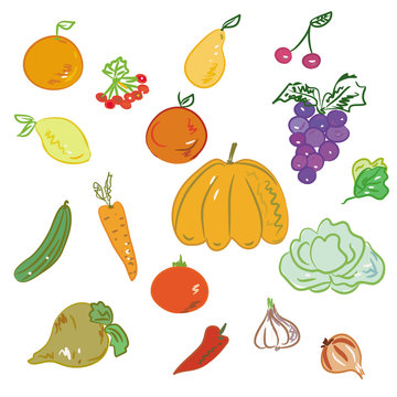 Set of hand drawn fruits and vegetables