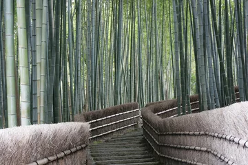 Papier Peint photo Lavable Bambou Promenade dans la forêt de bambous
