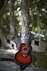 guitar against the tree on the beach - 21616306