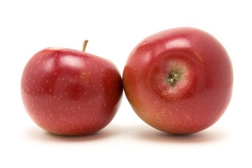 Fototapeta na wymiar Red macintosh apple