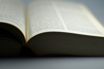Buchseite
