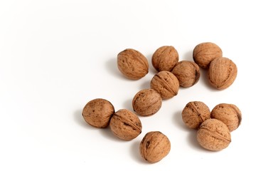 walnut group