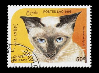 Laos mail stamp featuring a Siamese seal point cat