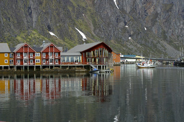 Obraz premium lofoten typical house 6